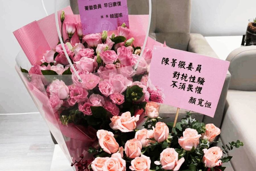 517大亂鬥!藍委轟賴清德 洪孟楷批魚目混珠、王鴻薇斥傷害民主 251 照片來源:陳菁徽臉書