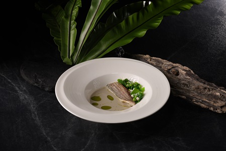 刺楤生態魚-黃錫鯛 刺楤生態魚-黃錫鯛