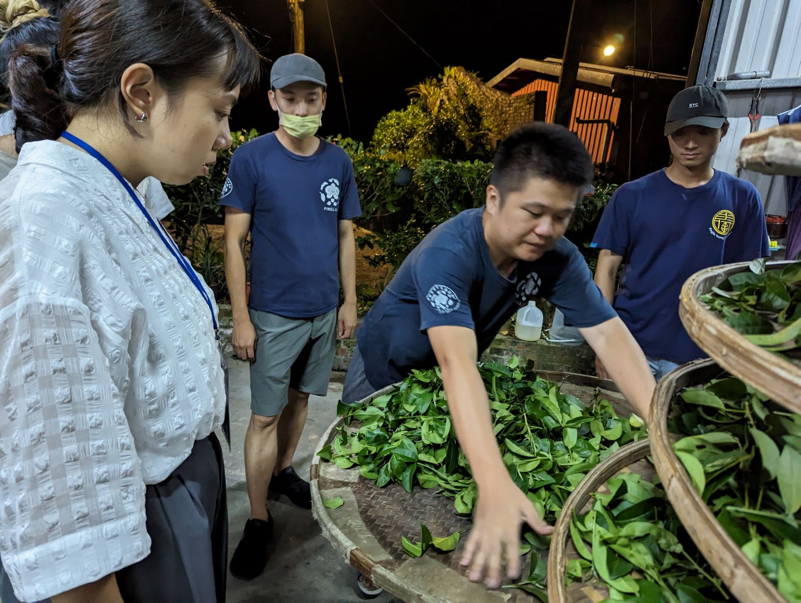521國際茶日　新北支持茶農　推好茶預購優惠