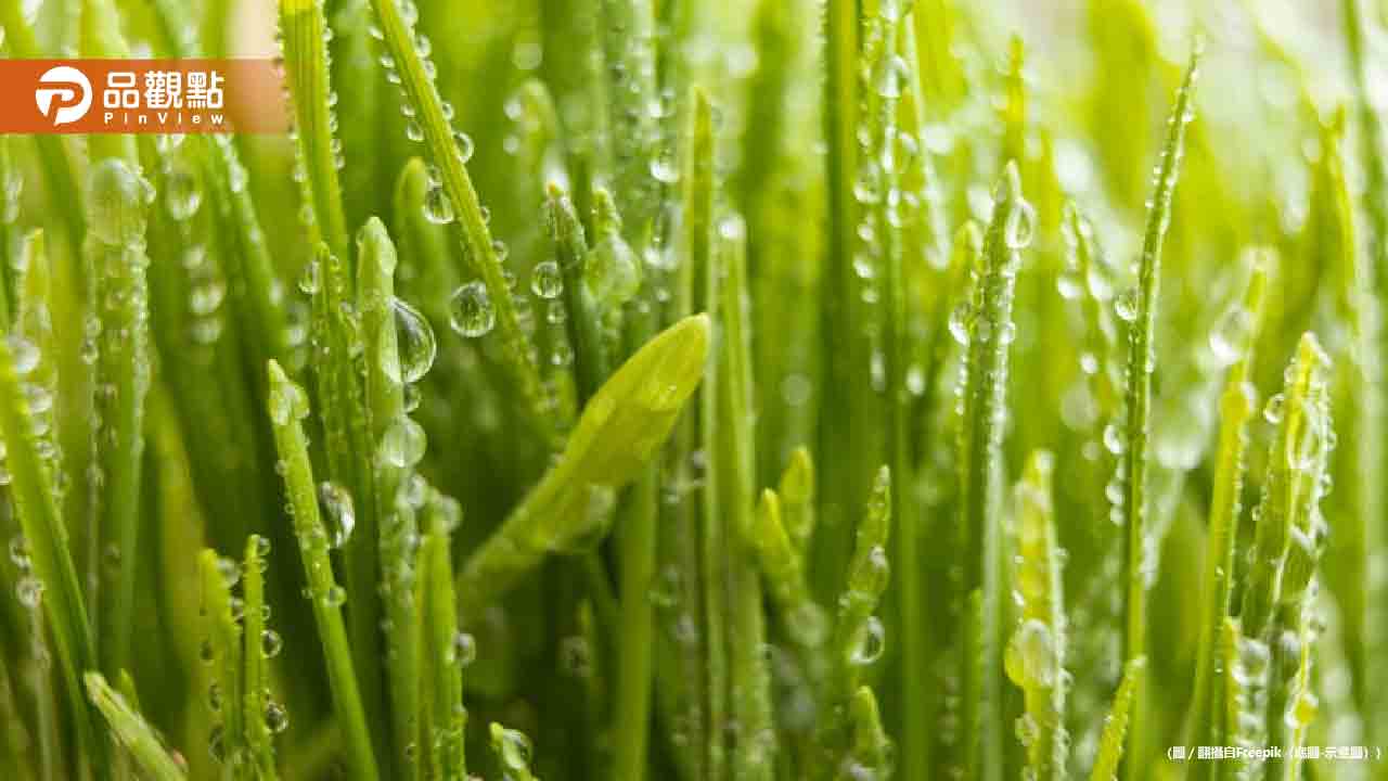 小滿節氣來臨,生肖、出生時辰決定你的財運好壞!