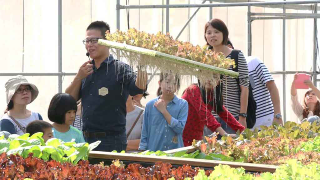 ▲大葉大學分生系校友江啟峰創辦蔬安鮮農場,推廣食農教育。(大葉大學提供)