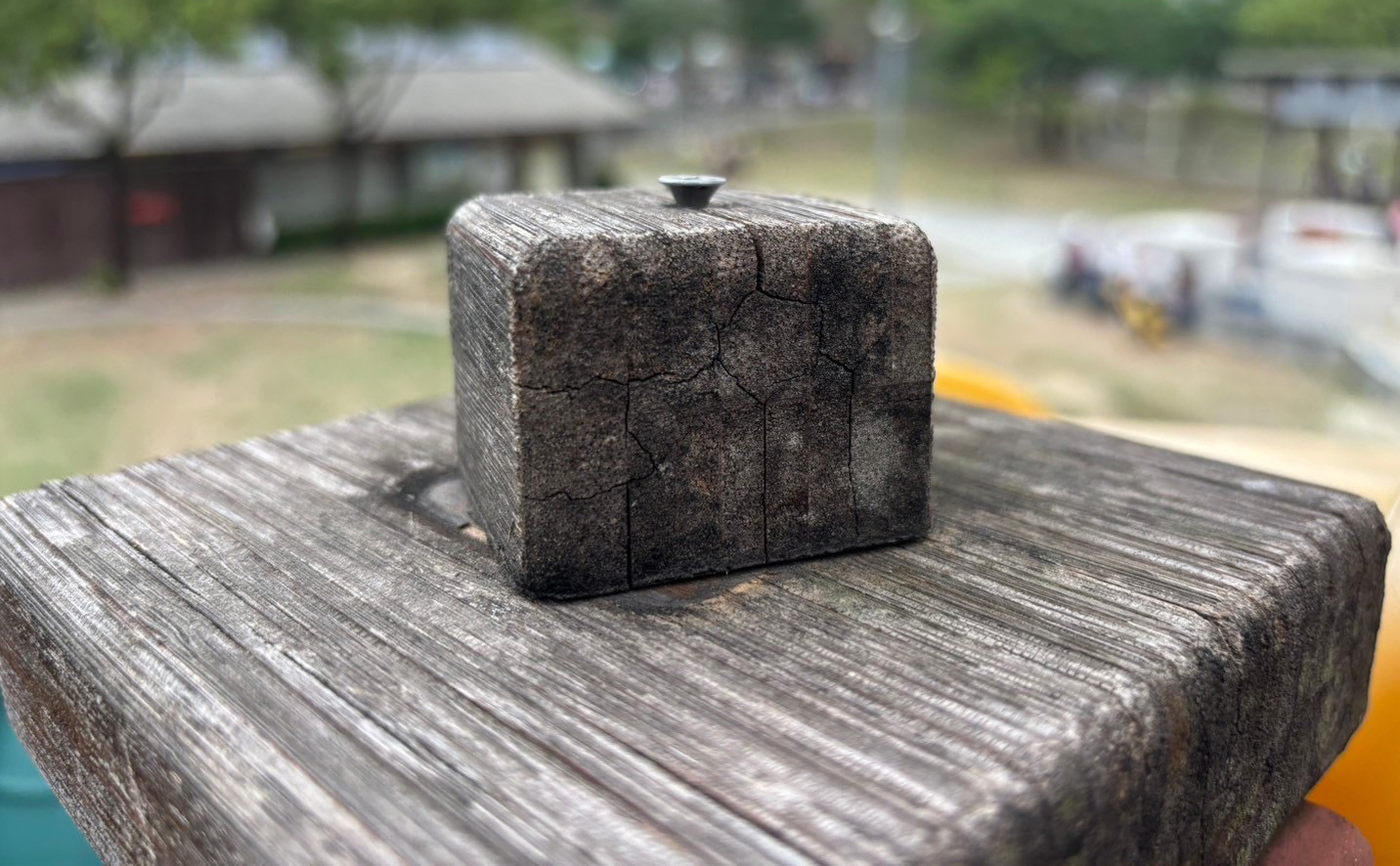 郭定緯指文化公園遊具有螺絲釘凸出問題，宛如電影《絕命終結站》／郭定緯提供