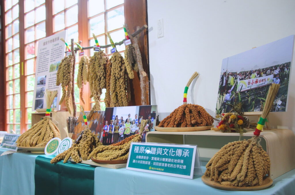 小米的種原保存與復種,攸關台灣飲食文化與氣候變遷下的農業發展。此次任務將把台灣小米送入北極全球種子庫,進行「異地安全備份」永續保存。