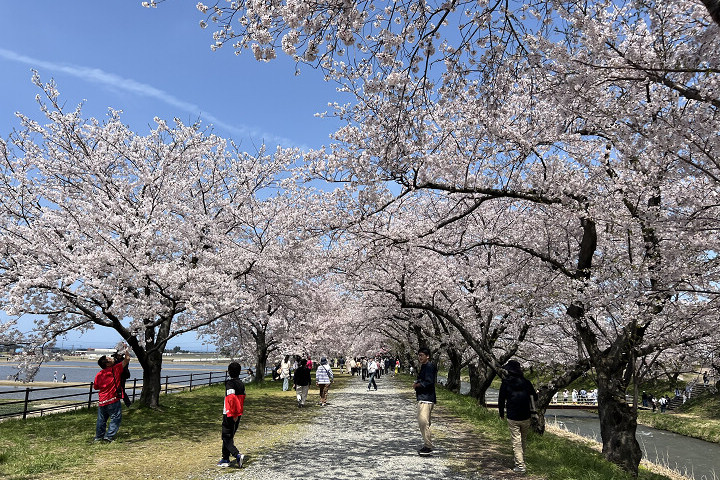 收藏日本富山縣必訪打卡絕景 下次別錯過