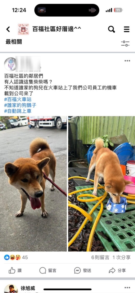 熱心民眾在百福火車站拾獲走失柴犬,與員警合力在社群發布訊息協尋主人。(記者薛秀蓮翻攝)