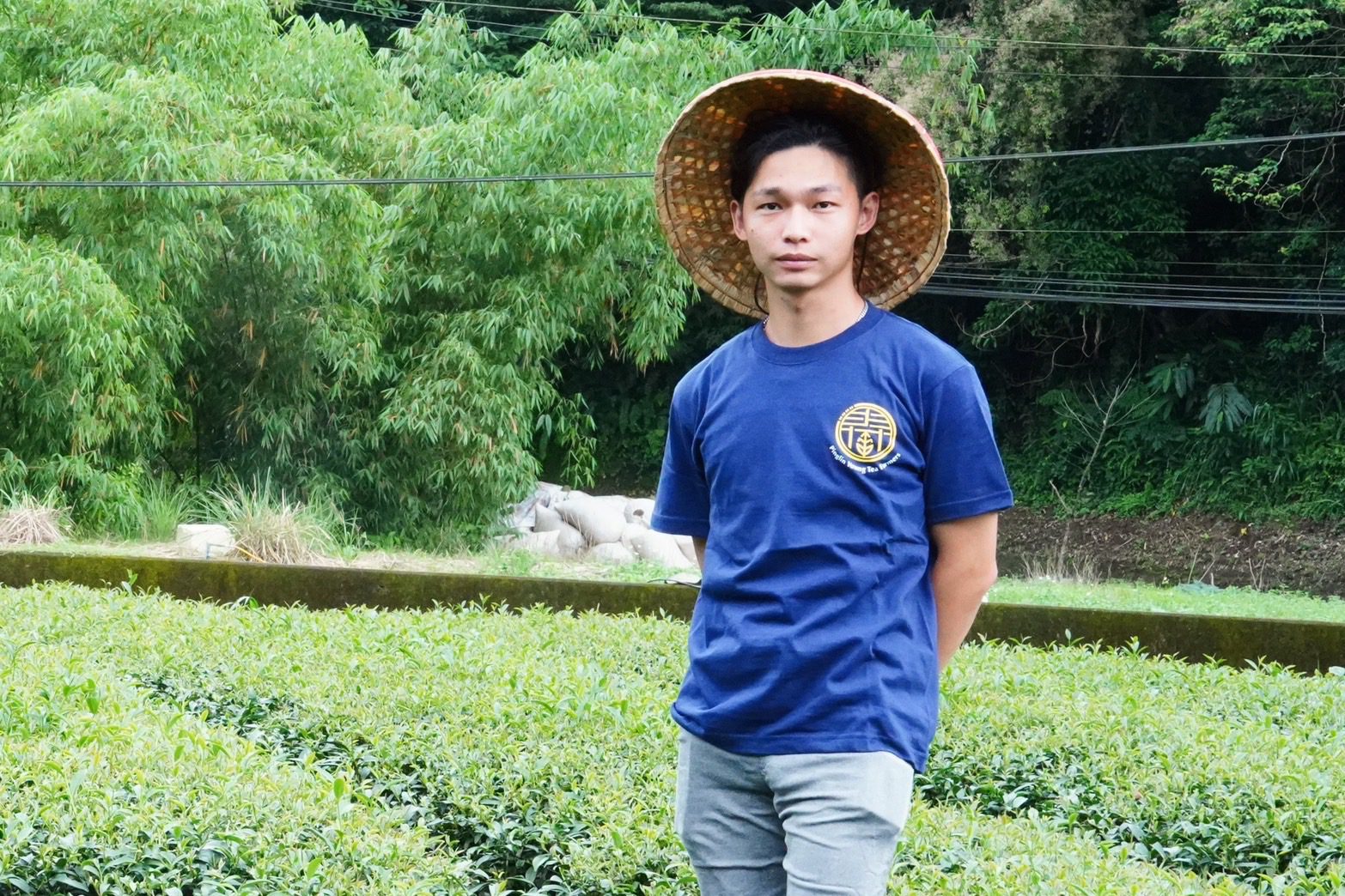 坪林春季包種茶評鑑　 26歲青農蔡智霖奪特等獎　 成為最年輕百萬冠軍茶王