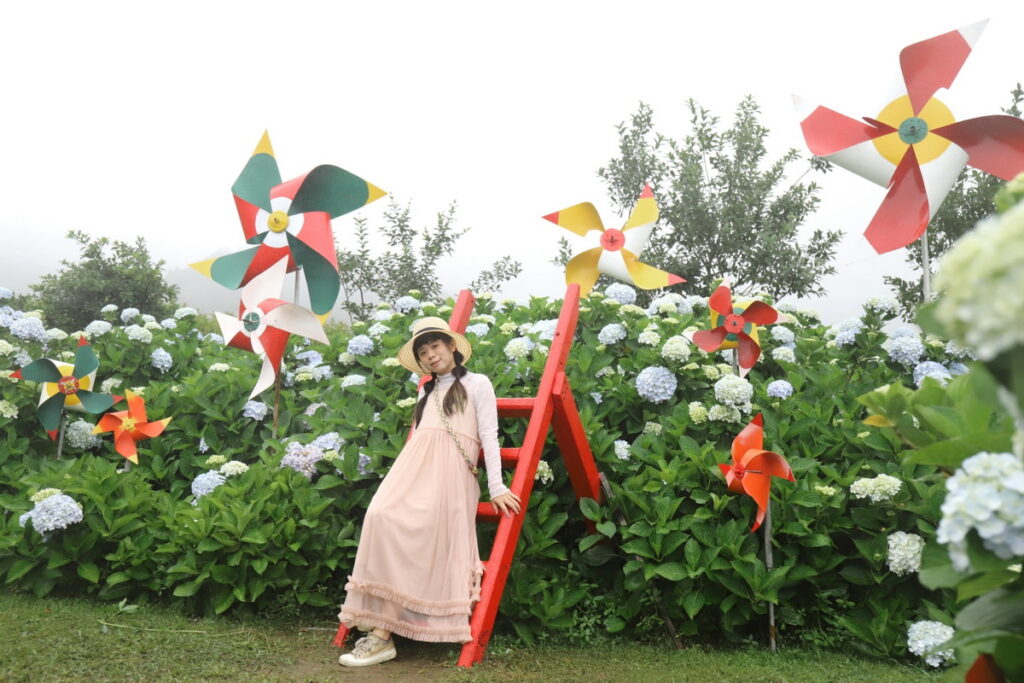迎春圃花園