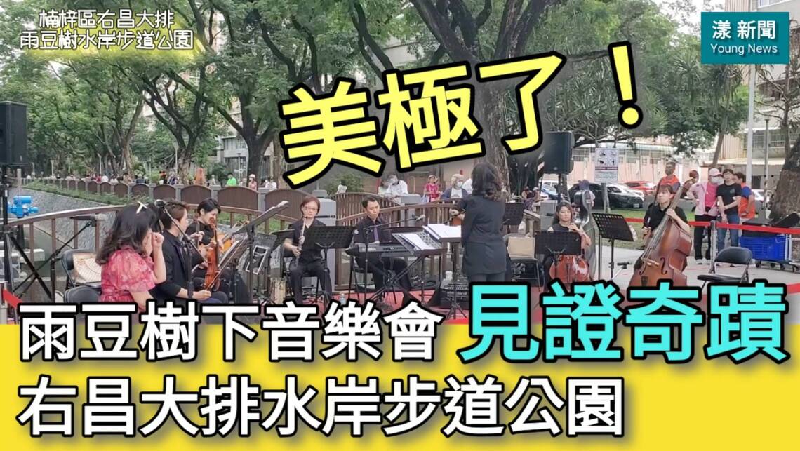 漾新聞|美極了!雨豆樹下音樂會見證奇蹟 右昌大排水岸步道公園「醜小鴨蛻變成白天鵝」