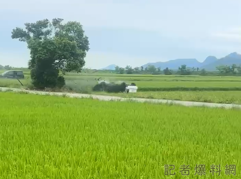 關山拉力賽 事故 稻田
