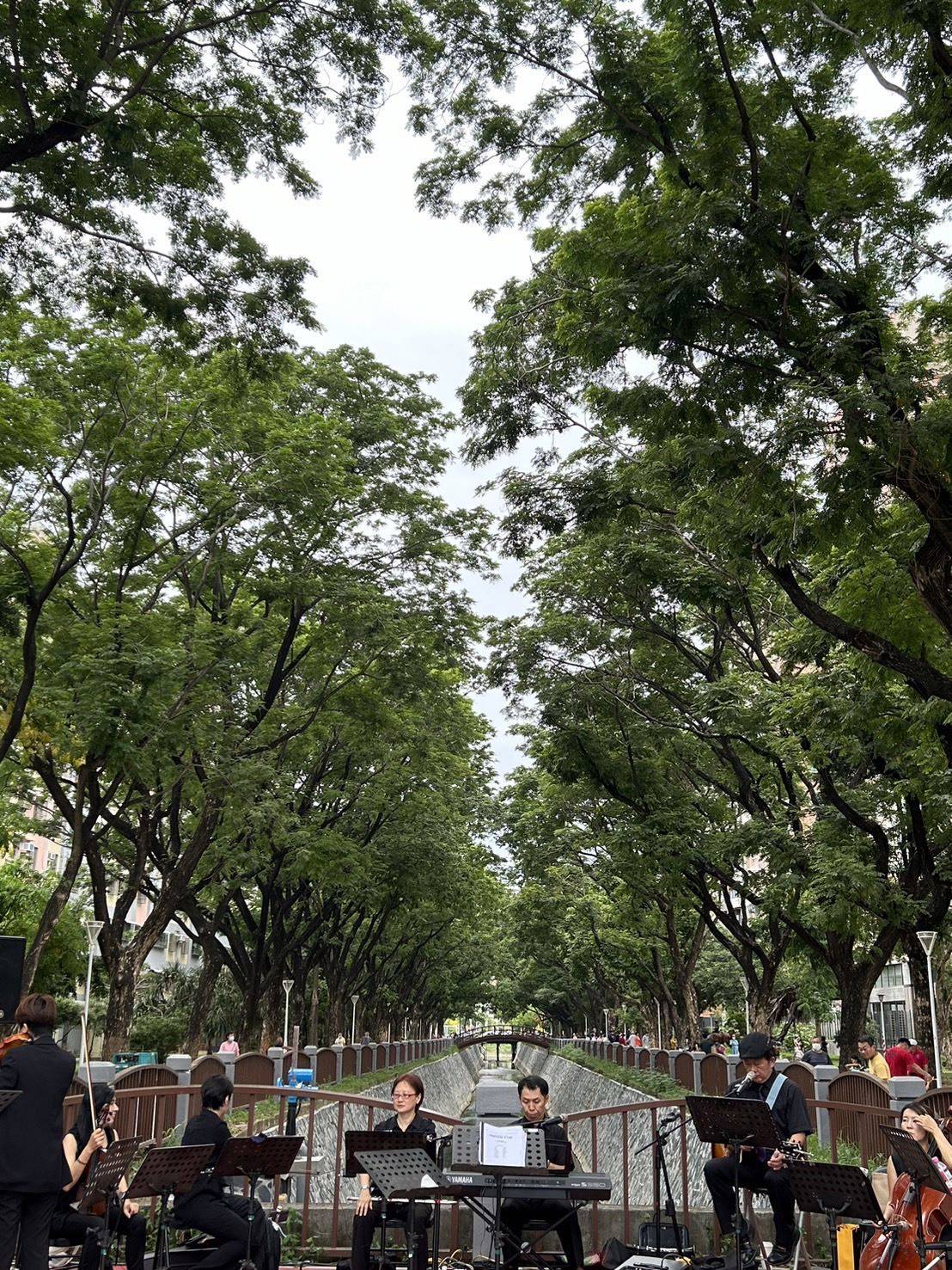 雨豆樹下音樂饗宴 　楠梓區水與花相遇時刻