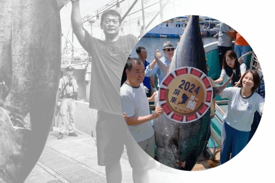 蘇清泉誤指黑鮪魚掉價因銷日遽減 徐富癸斥:錯把次級品當通案 251 照片來源:屏東縣政府amazing-pingtung網站截圖