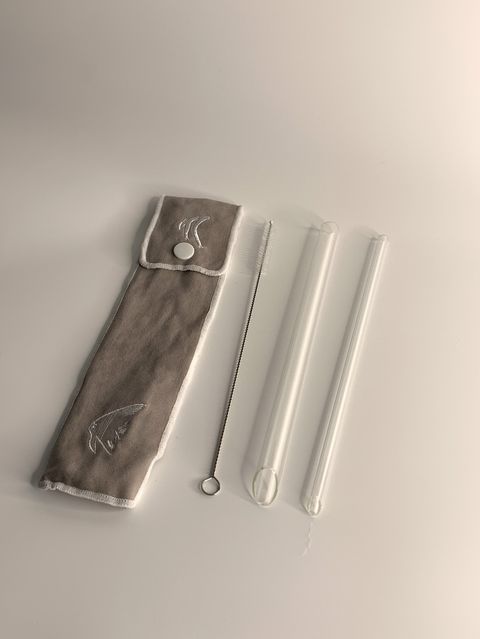 屏東海生館響應!世界海洋日活動 端午連假號召遊客齊來淨灘
