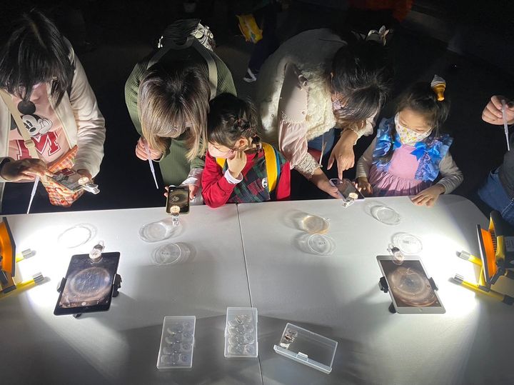 屏東海生館響應!世界海洋日活動 端午連假號召遊客齊來淨灘