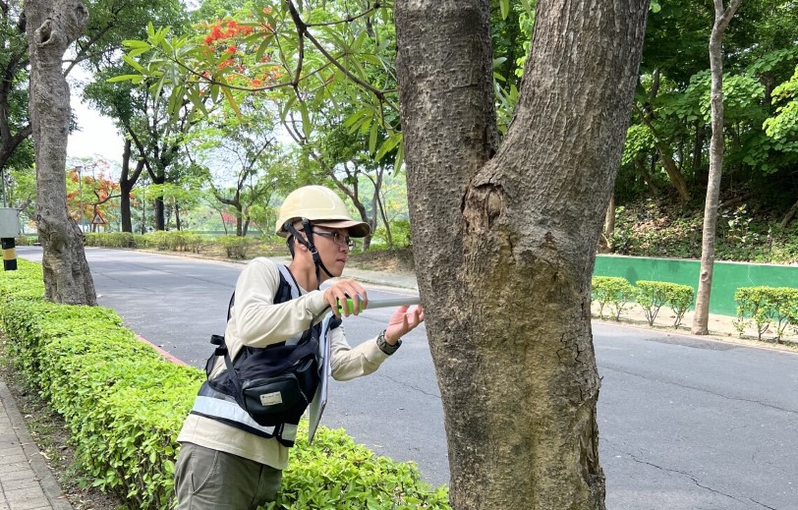 澄清湖風景區檢測樹木 風險管理UP!UP!