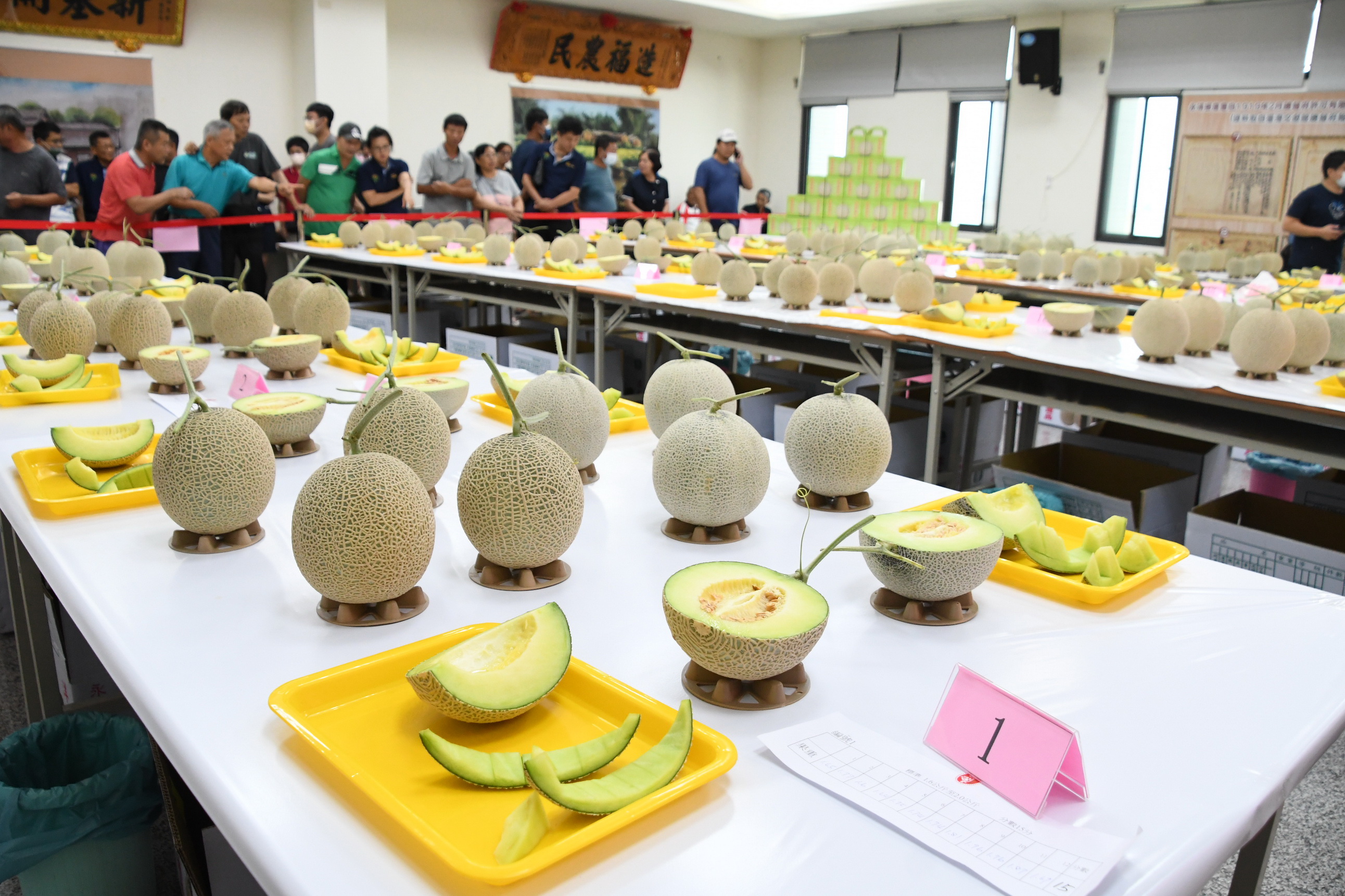 ▲彰化縣第一屆洋香瓜評鑑比賽，在永靖鄉農會登場，共有10鄉鎮30組農民參賽，縣長王惠美說，彰化縣洋香瓜粒粒脆甜可口又多汁，嚐鮮趁現在。（記者張溎壕攝）