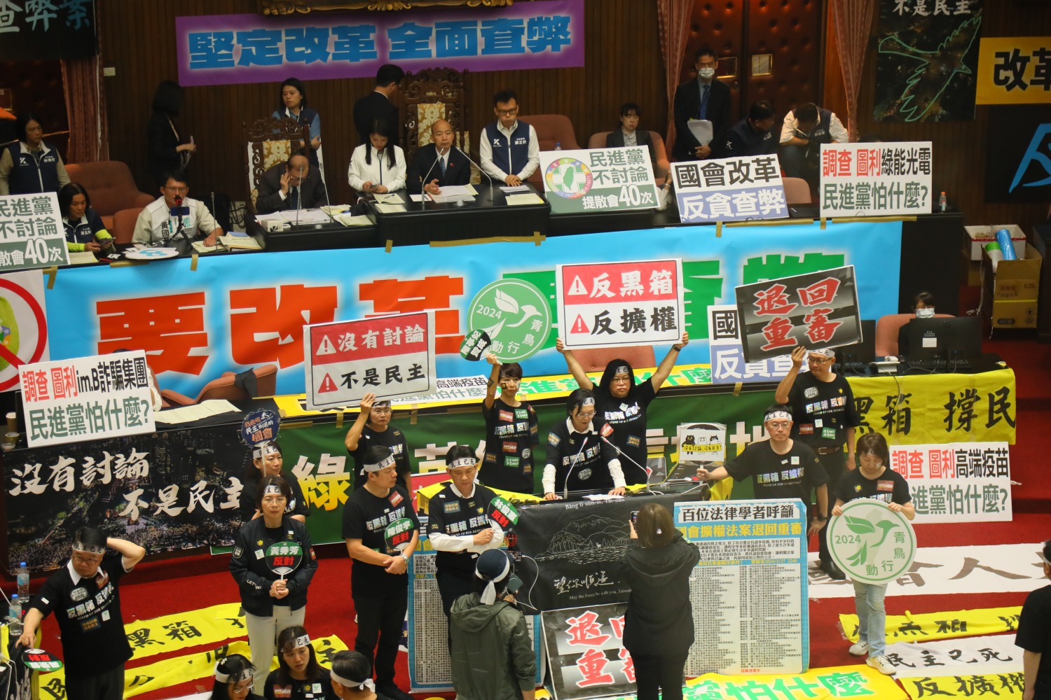 民進黨立委林岱華發表意見,其餘同黨立委在旁舉牌要求退回重審。(記者包克明攝)