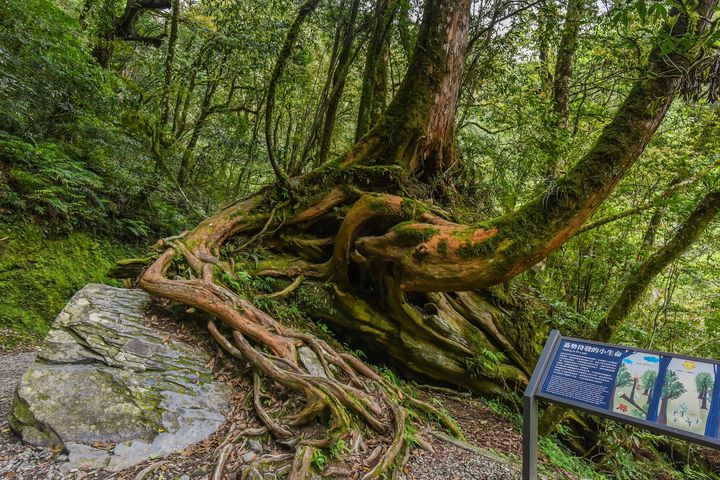 看見台灣! 品保協會國際金旅獎為最佳背書 展現入境旅遊亮點、創新遊程實力(下篇)
