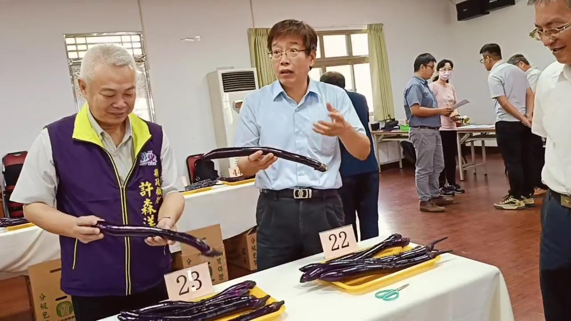 ▲113年度彰化縣茄子果品評鑑競賽在二水鄉農會辦理，評審從茄子果品的長度、色澤、均勻、肉質彈性等項目打分數。（記者張溎壕攝）