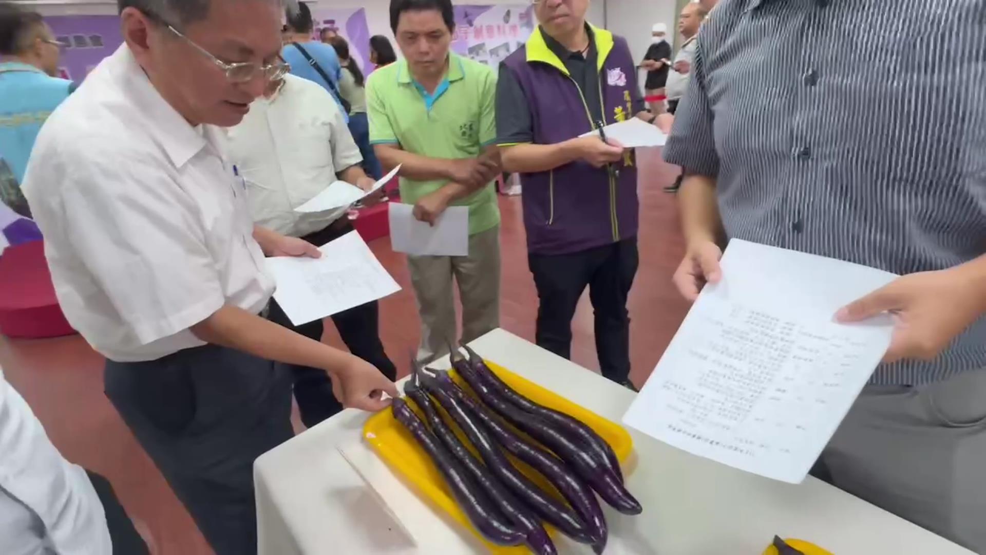 ▲113年度彰化縣茄子果品評鑑競賽在二水鄉農會辦理，評審從茄子果品的長度、色澤、均勻、肉質彈性等項目打分數。（記者張溎壕攝）