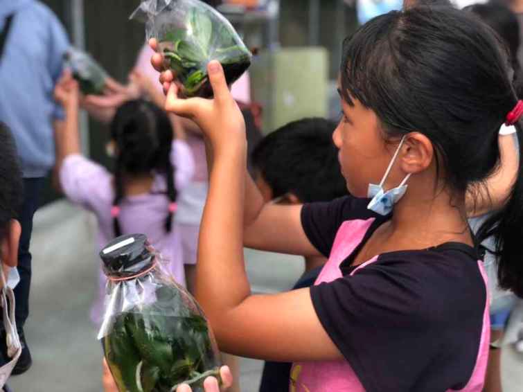 ▲「研帥蘭園自然農場」是蘭花培育場，主要培育蝴蝶蘭及種植有機紅心土芭樂，孩子嘗試手做蘭花盆栽，還能帶回家擺設布置，充滿成就感。（嘉義縣政府提供）