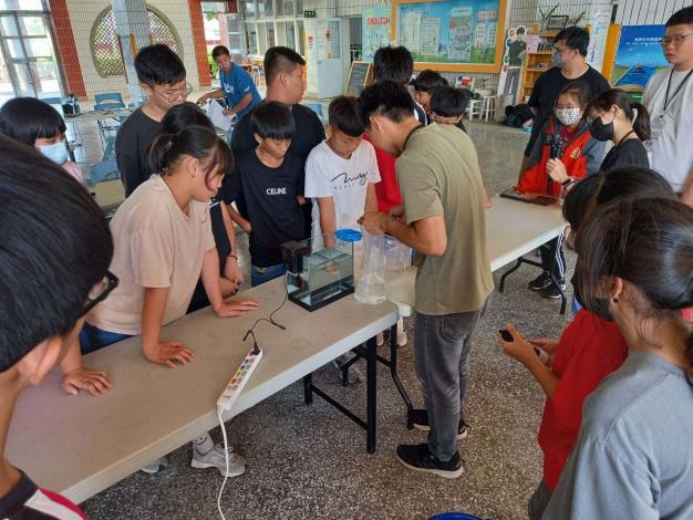 「青鱂放大鏡」課程,深入認識青鱂魚的生態習性