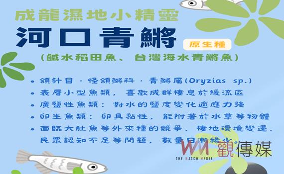 雲林縣政府與宜梧國中攜手 打造成龍濕地珍貴生態教育