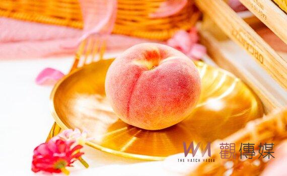 桃園好農平台啟用 帶領農產邁向智慧化新時代