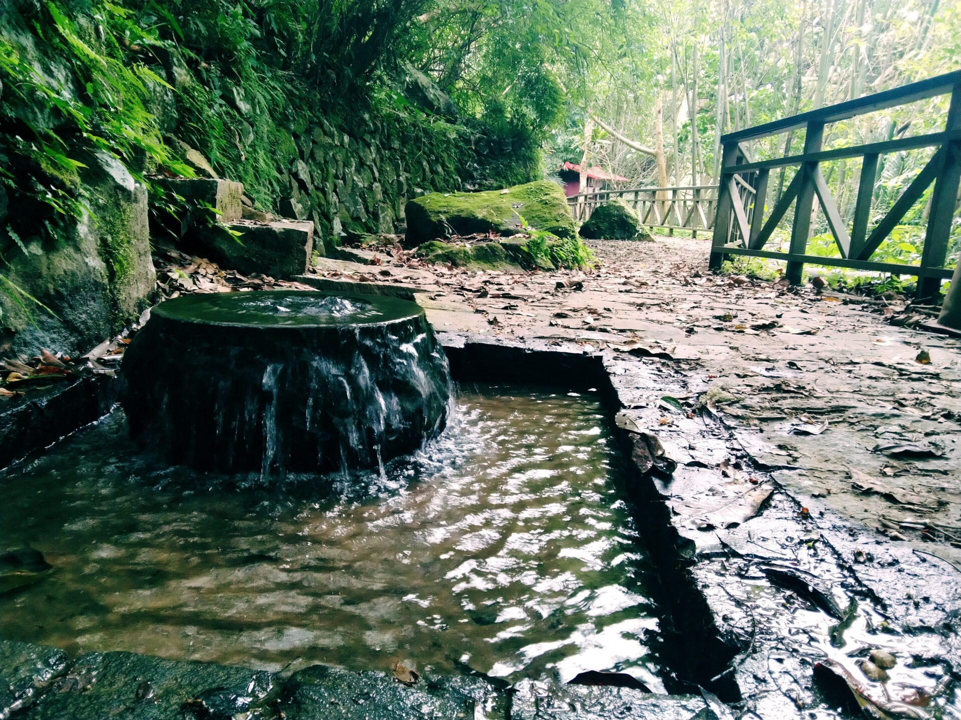 夏日清涼秘境 悠遊士林溪山步道與百年古圳