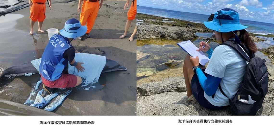 海保署誠徵海洋保育巡查員 一起守護蔚藍心跳!
