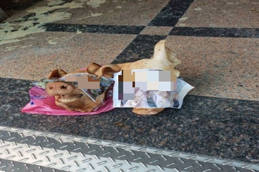 ▲圖說:竹○幫暴力犯罪集團林嫌等人以擺豬頭恐嚇方式對被害人進行討債 (圖/台中市政府提供)