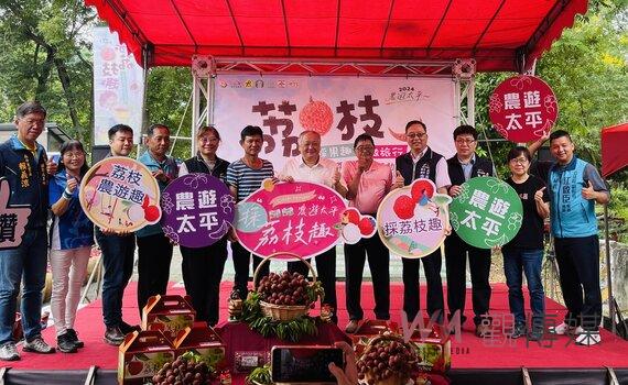 台中太平區荔枝採果趣6/8開跑