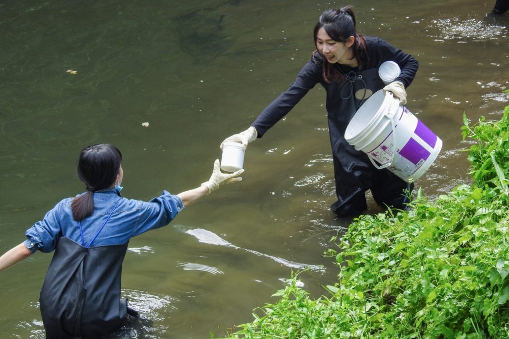 清華大學周秀專團隊以人工初篩頭前溪底泥樣本。（圖/記者林照東翻攝）