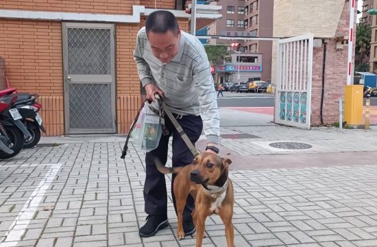 全國最多校犬貓的城市 新北高中推生命教育認養小Q