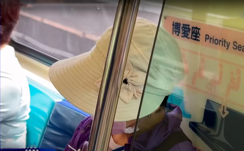 (圖/翻攝youtube)