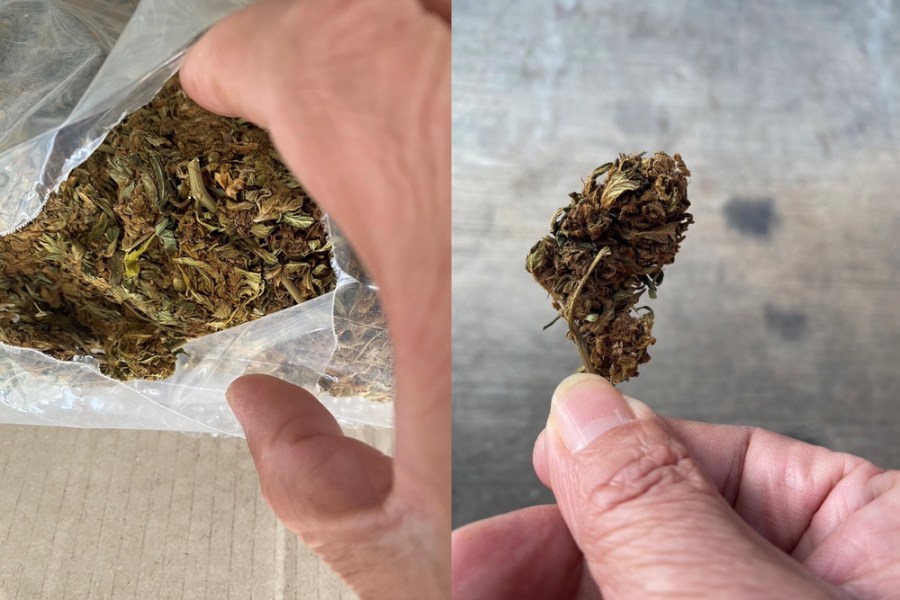 汽車零件開出大麻花　基隆檢調聯手查獲17箱 239