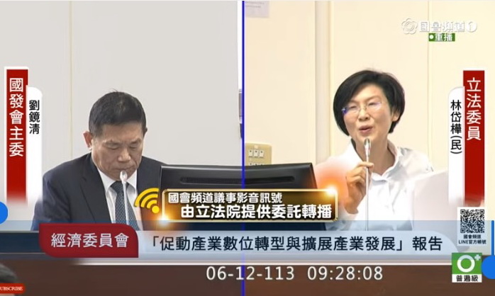 林岱樺認為,台灣人工智慧產業發展的成敗關鍵就是在於垂直應用領的專家系統。(圖/國會頻道)