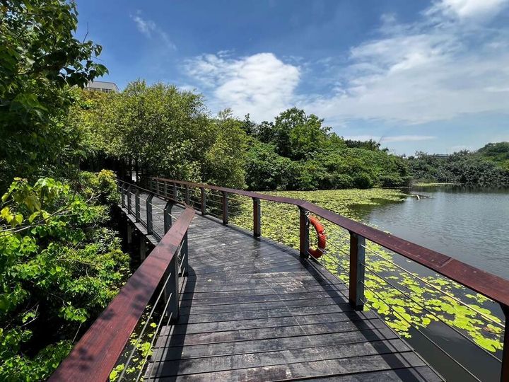 高雄新亮點/鳥松濕地步道升級 澄清湖入口廣場風華再現
