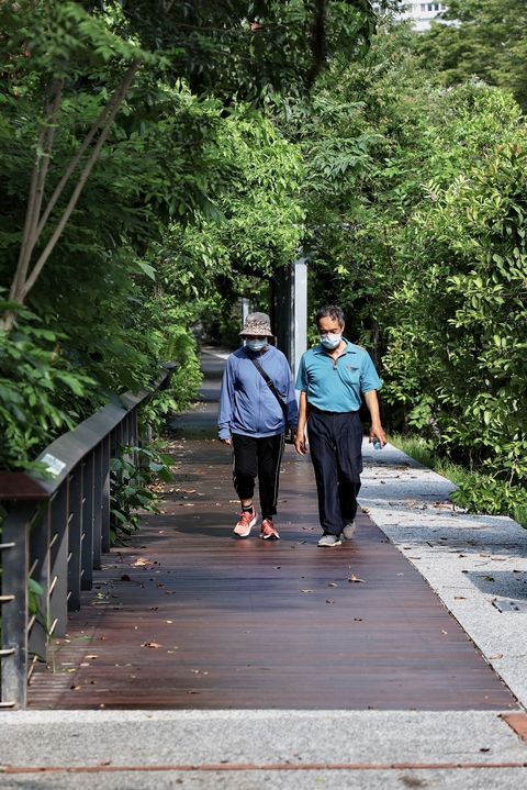 高雄新亮點/鳥松濕地步道升級 澄清湖入口廣場風華再現