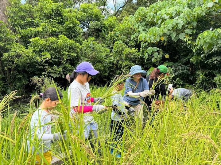 高雄新亮點/鳥松濕地步道升級 澄清湖入口廣場風華再現