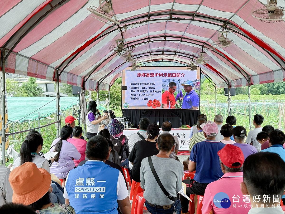 午後陣雨造成番茄、甜椒及辣椒病害 建議農友以清園、輪用藥劑搭配降低病蟲害