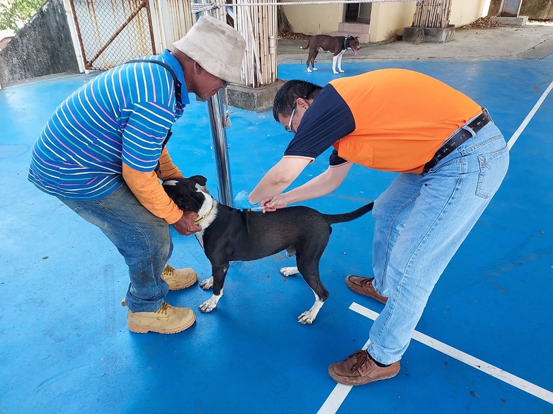 屏東恆春出現今年屏東首例白鼻心狂犬病