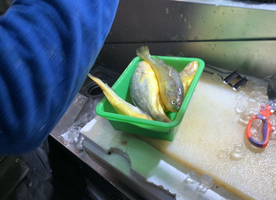 六福萬怡吃到飽「扁蟹」重金屬鎘超標! 南門市場「黃魚」含禁藥 240 六福萬怡吃到飽「扁蟹」重金屬鎘超標! 南門市場「黃魚」含禁藥 239