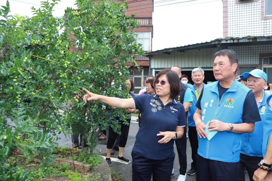 豪雨造成苗栗紅棗嚴重災損鍾東錦勘查　要求盡速報請農業部辦理現金救助