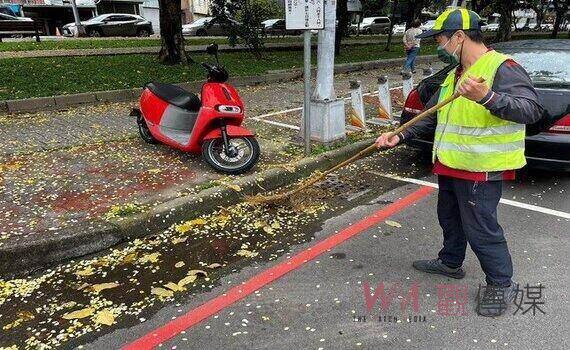 落葉資訊智慧化管理 中市環保局推「行道樹落葉資訊地圖」守護行車安全