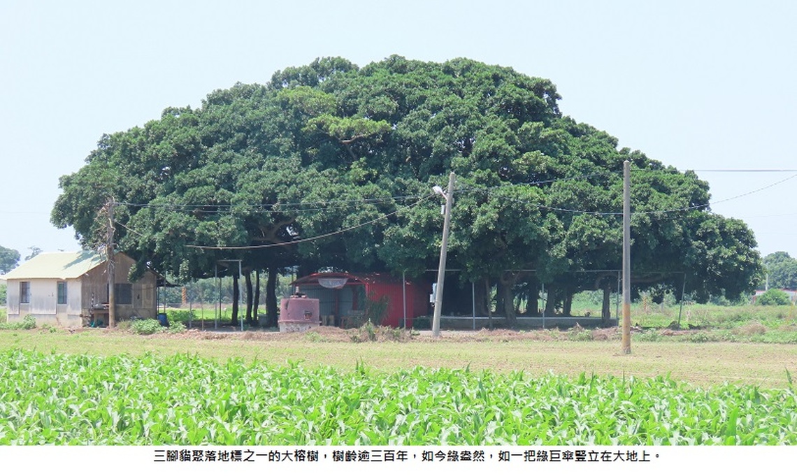 滄海桑田 嘉南農村「義竹鄉三腳貓聚落」的百年傳說之九