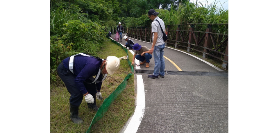 新北市政府打造淡水河護蟹廊道　共同守護陸蟹平安回家
