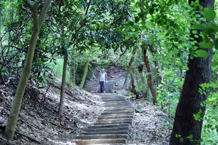 ▲大肚山萬里長城步道。（台中市觀旅局提供）