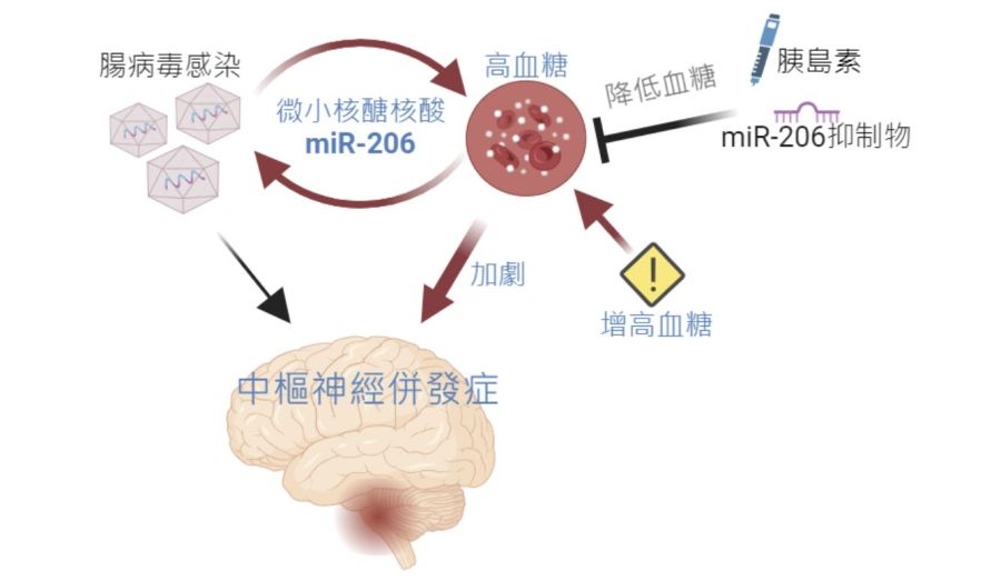 染腸病毒別給「糖」吃!國衛院發現重症原因 布丁、果凍成危險食物 290 染腸病毒別給「糖」吃!國衛院發現重症原因 布丁、果凍成危險食物 289