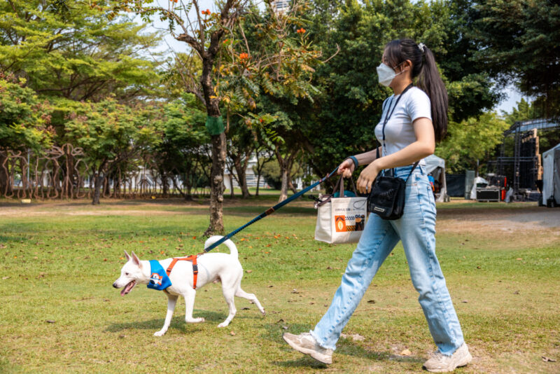 「好伴公園」系列活動趣味登場！ 6/22帶毛孩楠梓寵物公園一同放鬆吧!