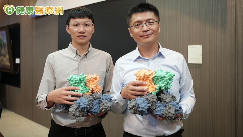 人類神經性疾病治療新曙光! 興大研究「細菌通道」成果登國際期刊